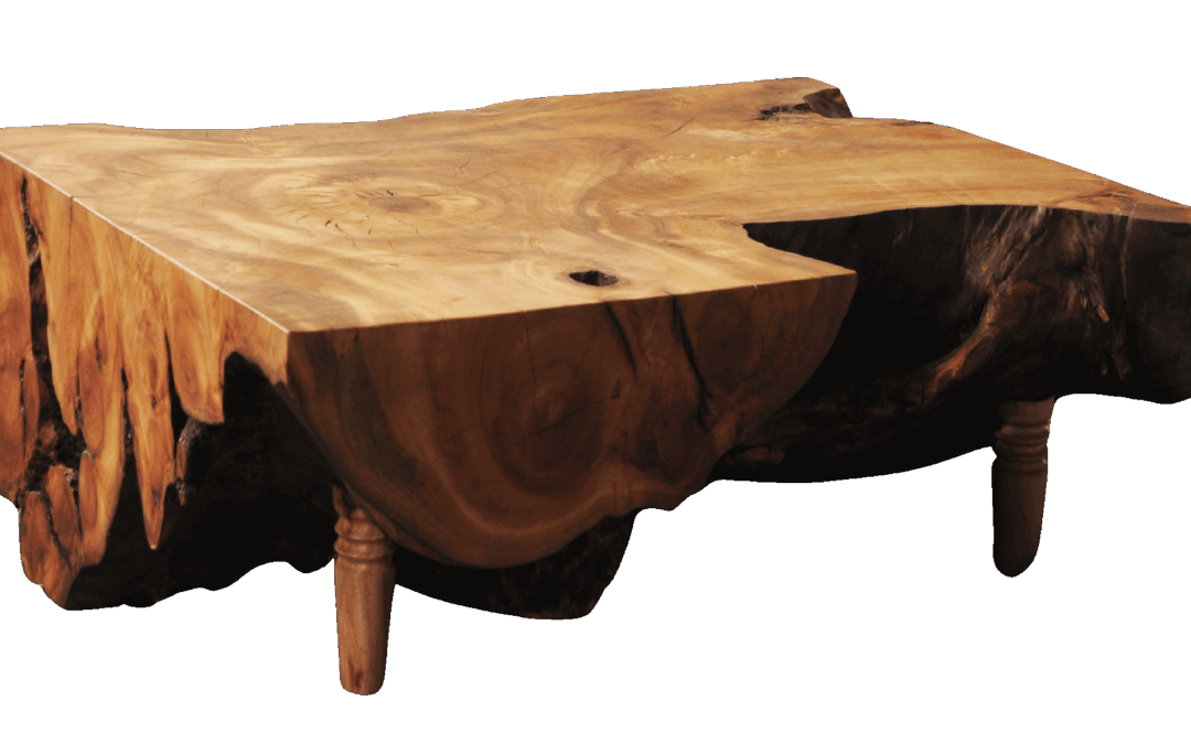 Tree trunk table