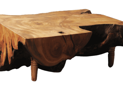 Tree trunk table